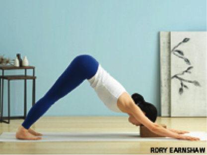 Adho Mukha Svanasana (Downward-Facing Dog Pose)