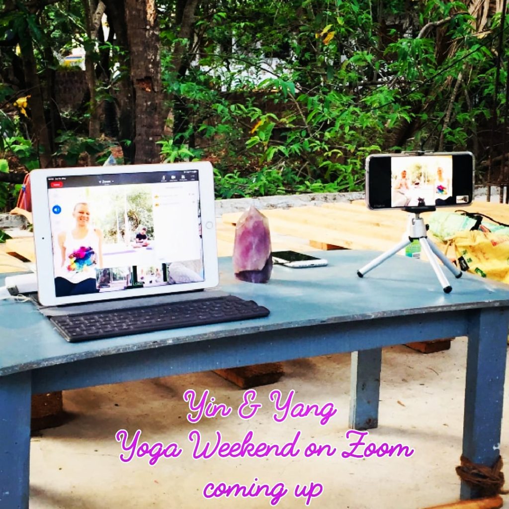 online ad yin yoga teacher training